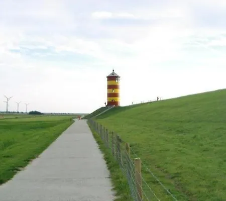 Seepferdchen In Krummhoern