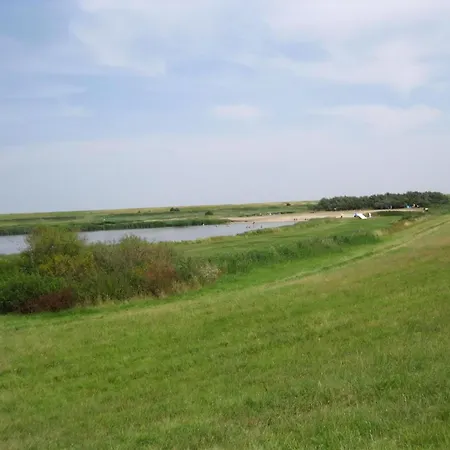 Seepferdchen In Krummhoern Hamswehrum
